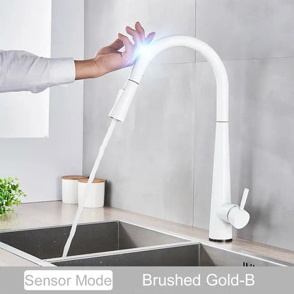 Decorbites™ brushed gold black kitchen faucet with touch sensor mixer tap and illuminated touch-sensitive trigger