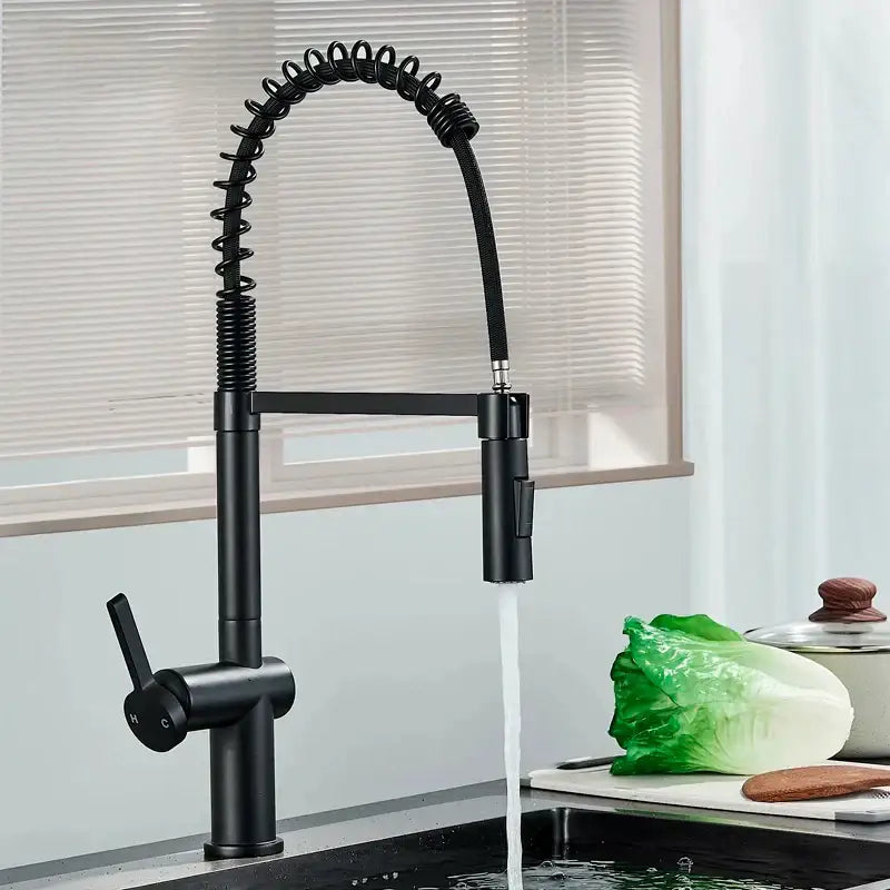Decorbites black kitchen faucet with matte finish, coiled flexible spout, dual mode sprayer, and 360 rotation mixer