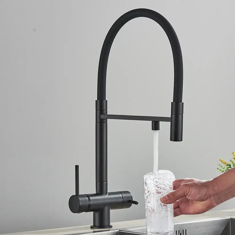 Decorbites black kitchen faucet with matte finish curved spout pull-down sprayer and 2-in-1 purification technology