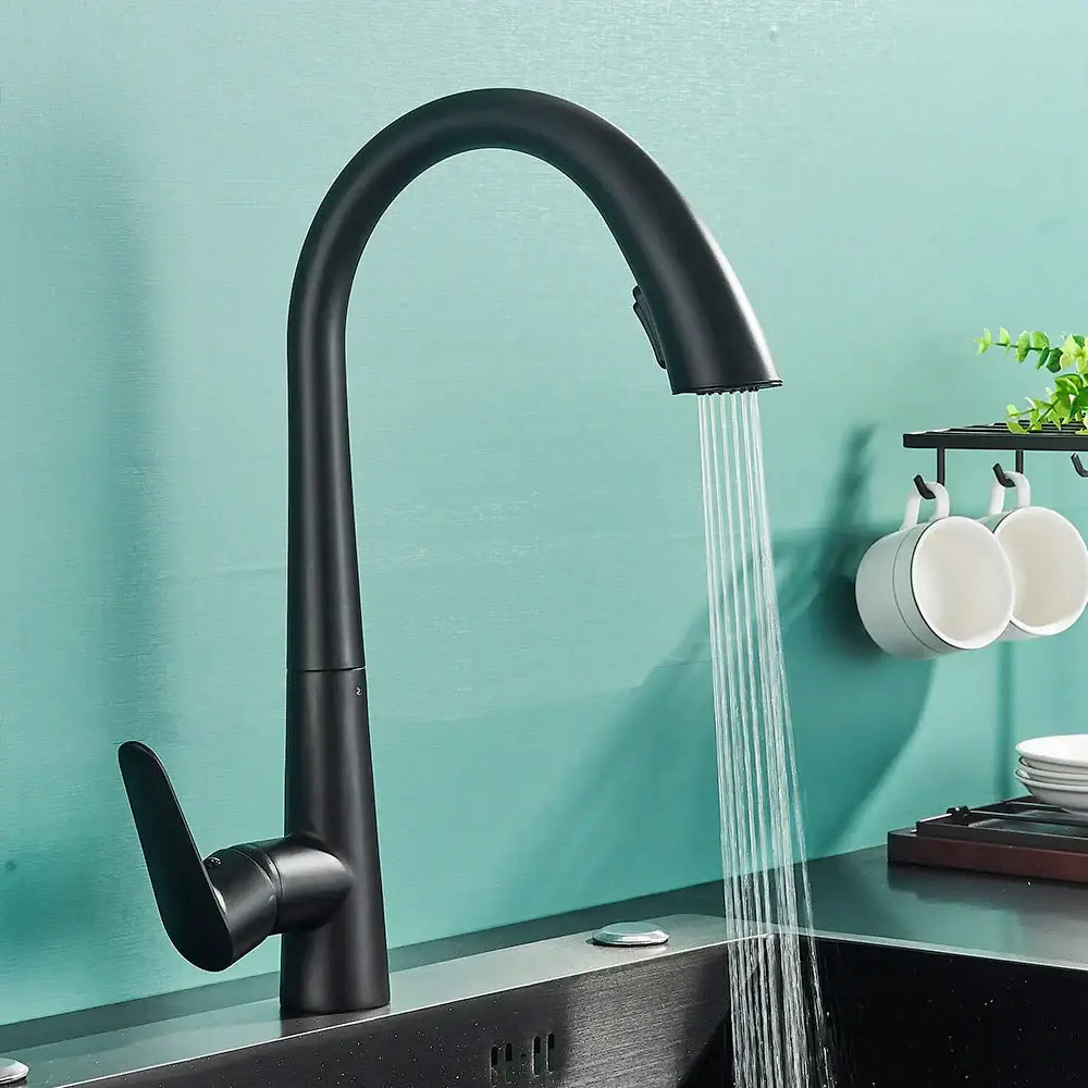 DecorBites black kitchen faucet with matte finish, sleek curved spout, pull out sprayer, and single lever control