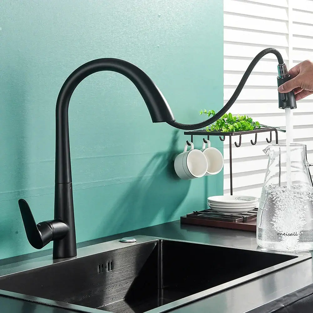 Decorbites black kitchen faucet with pull out sprayer and single lever control in black matte finish and curved spout