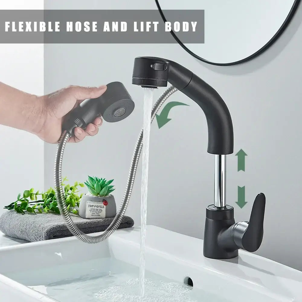 Decorbites black lift basin faucet in black with flexible hose and dual nozzle pull out sprayer for bathroom sink