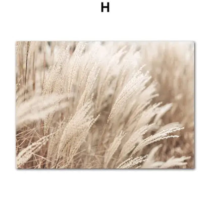 Beige-toned canvas wall art featuring soft-focus tall grasses in a bohemian beach landscape for modern home decor