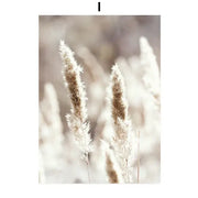 Decorbites™ bohemian beach landscape wall art featuring soft feathery pampas grass plumes in warm beige tones