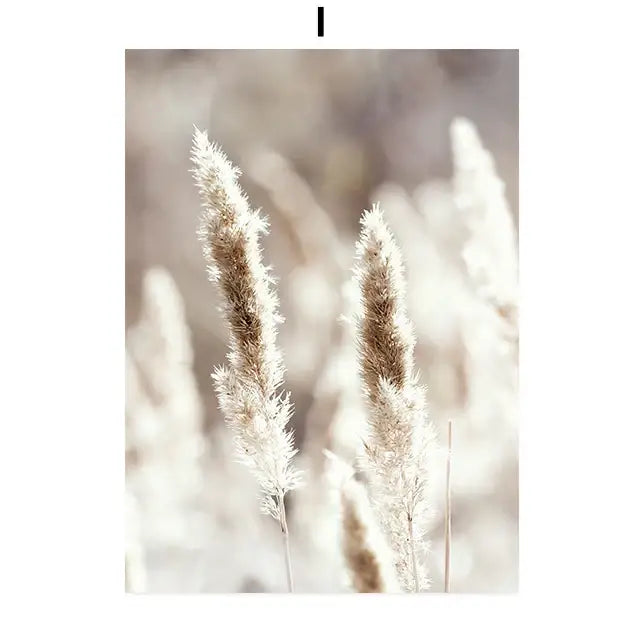 Decorbites™ bohemian beach landscape wall art featuring soft feathery pampas grass plumes in warm beige tones