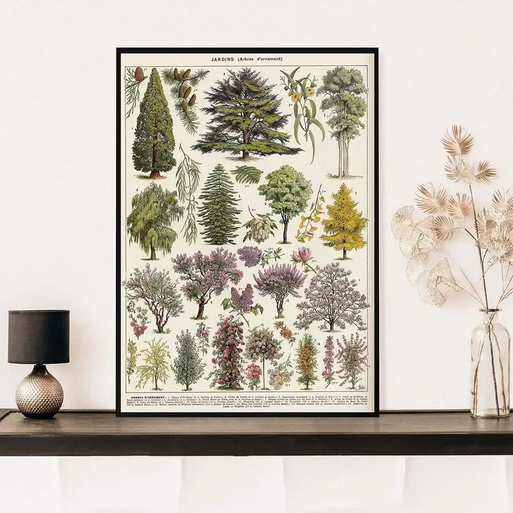 A framed decorbites™ botanical vintage encyclopedia print wall art featuring detailed adolphe millot encyclopedia trees in muted greens and purples