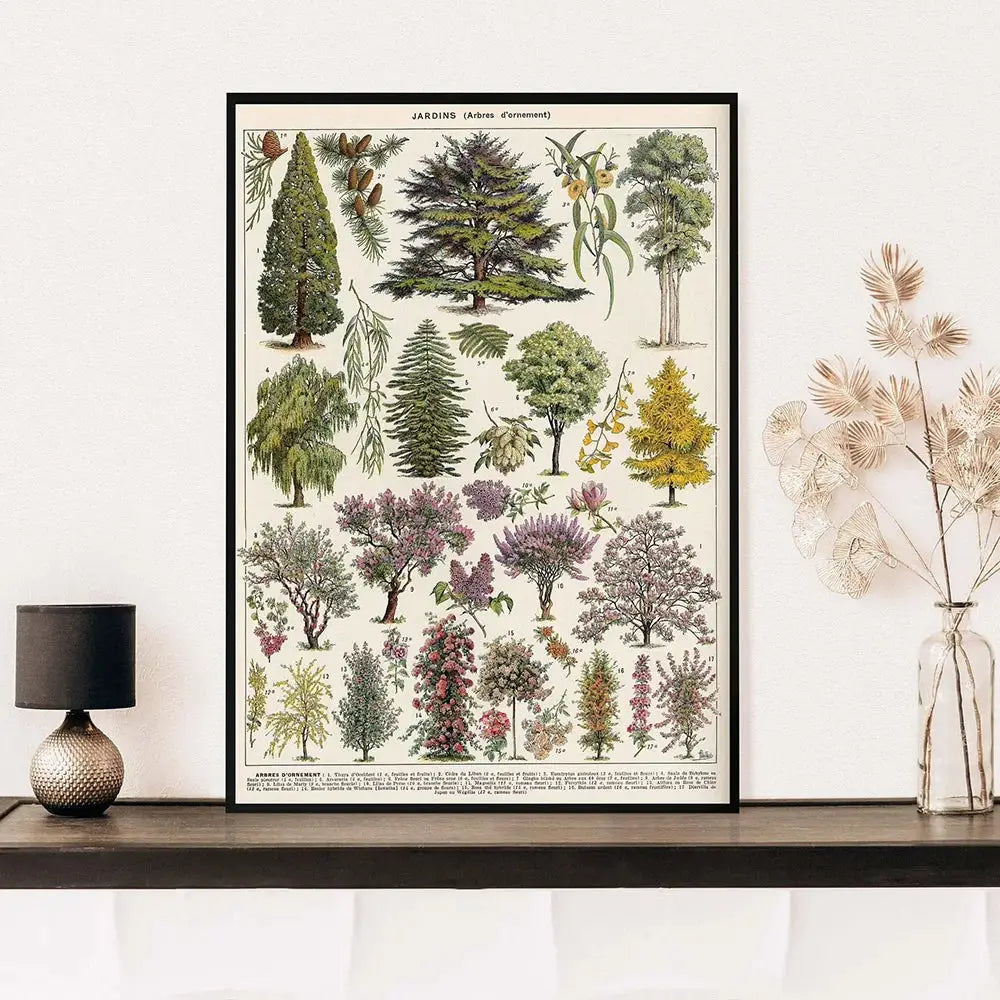 Vintage-botanisches Poster in schwarzem Rahmen mit detaillierten farbigen Baumillustrationen aus Adolphe Millot Enzyklopäie-Druck
