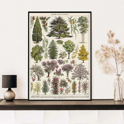 Vintage botanical poster framed in black with detailed colored tree illustrations from adolphe millot encyclopedia print
