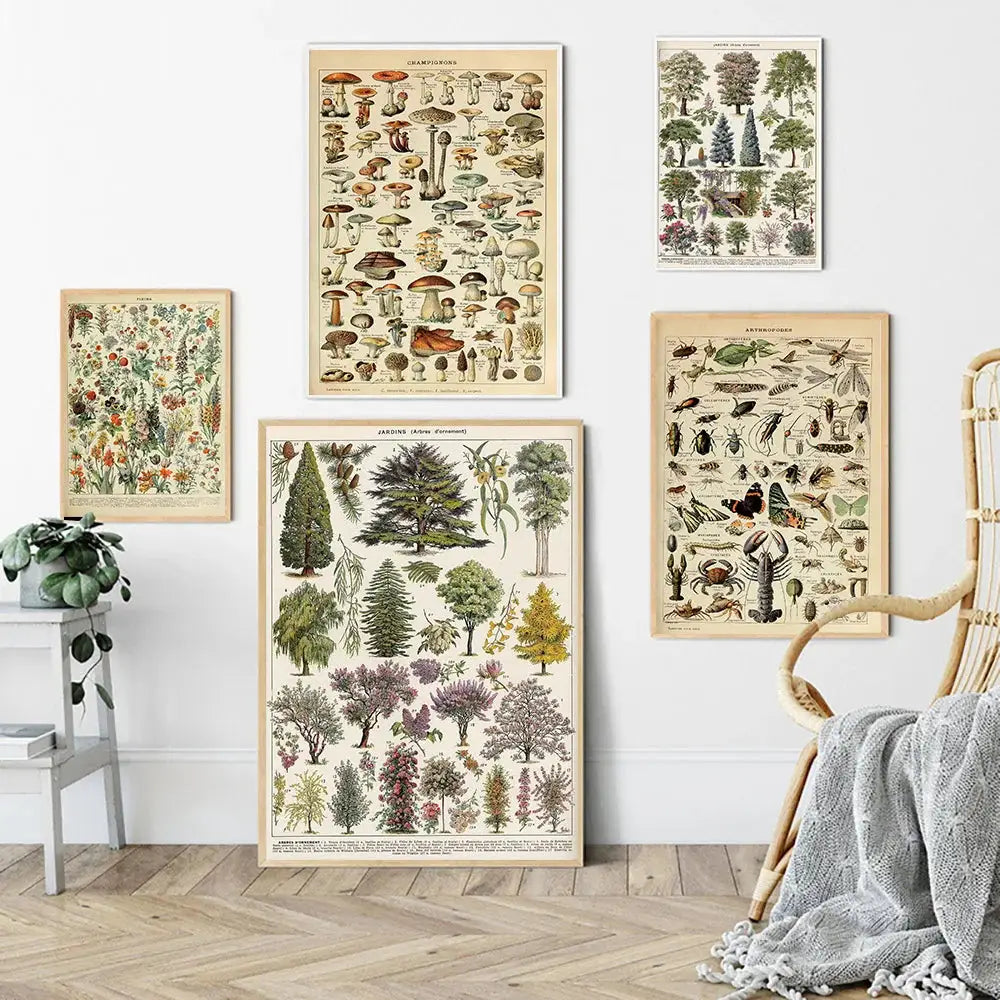 Set of vintage botanical posters featuring sepia adolphe millot encyclopedia illustrations of mushrooms trees and plants