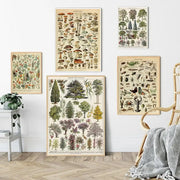 Set of DecorBites™ botanical vintage encyclopedia prints wall art with adolphe millot encyclopedia illustrations in wood frames
