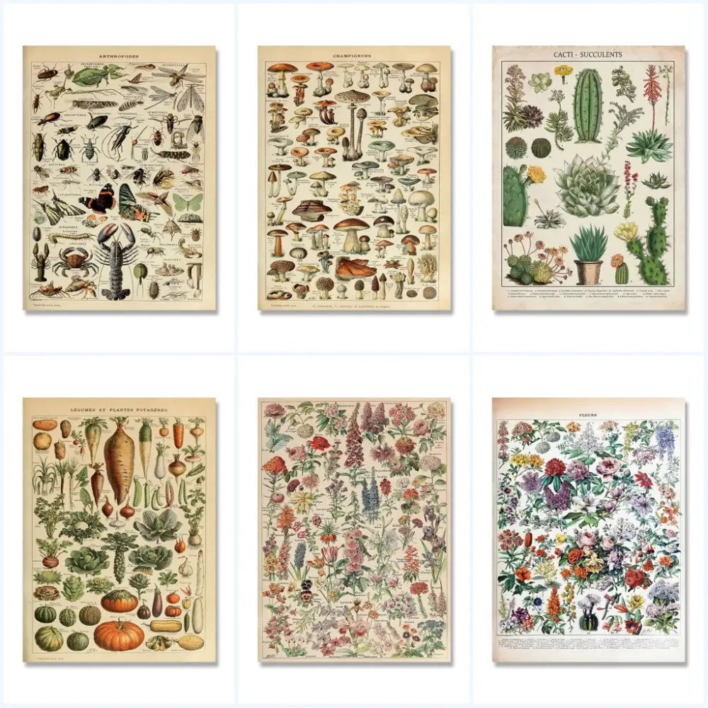 Set of six colorful decorbites™ botanical vintage encyclopedia prints on aged cream paper featuring adolphe millot illustrations
