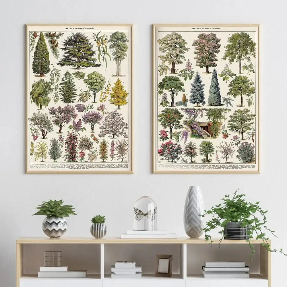 Two framed decorbites botanical vintage encyclopedia prints wall art with adolphe millot encyclopedia tree illustrations in muted tones