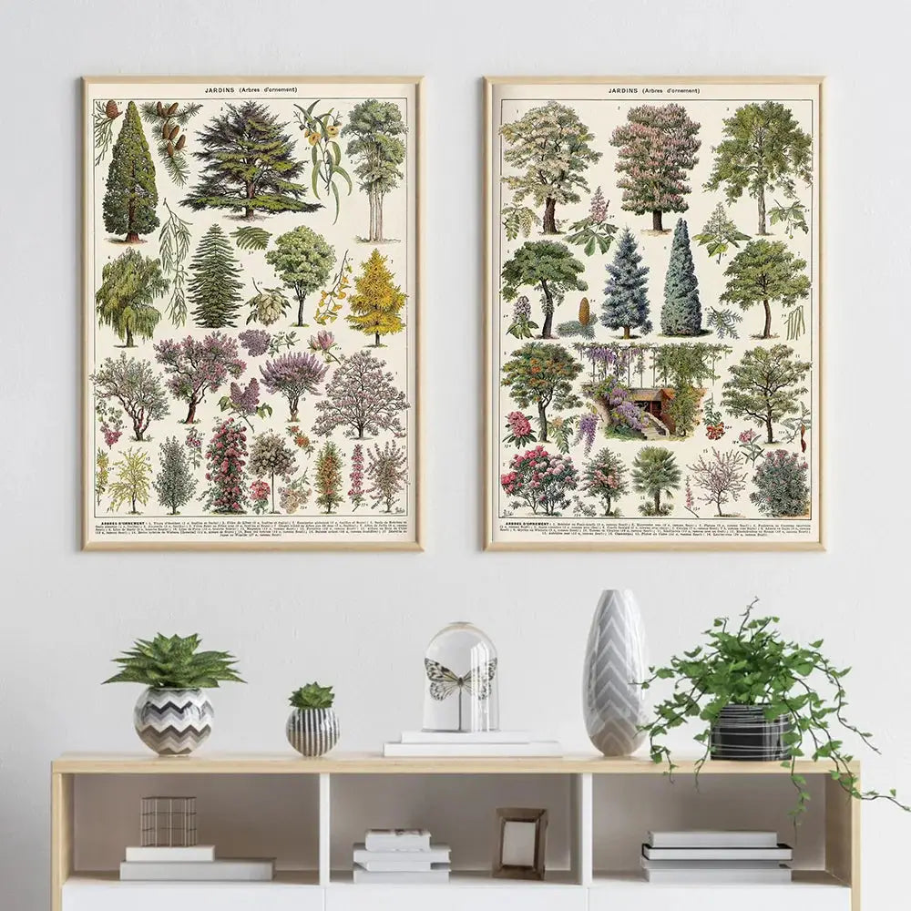 Two framed decorbites botanical vintage encyclopedia prints wall art featuring adolphe millot encyclopedia illustrations on cream paper