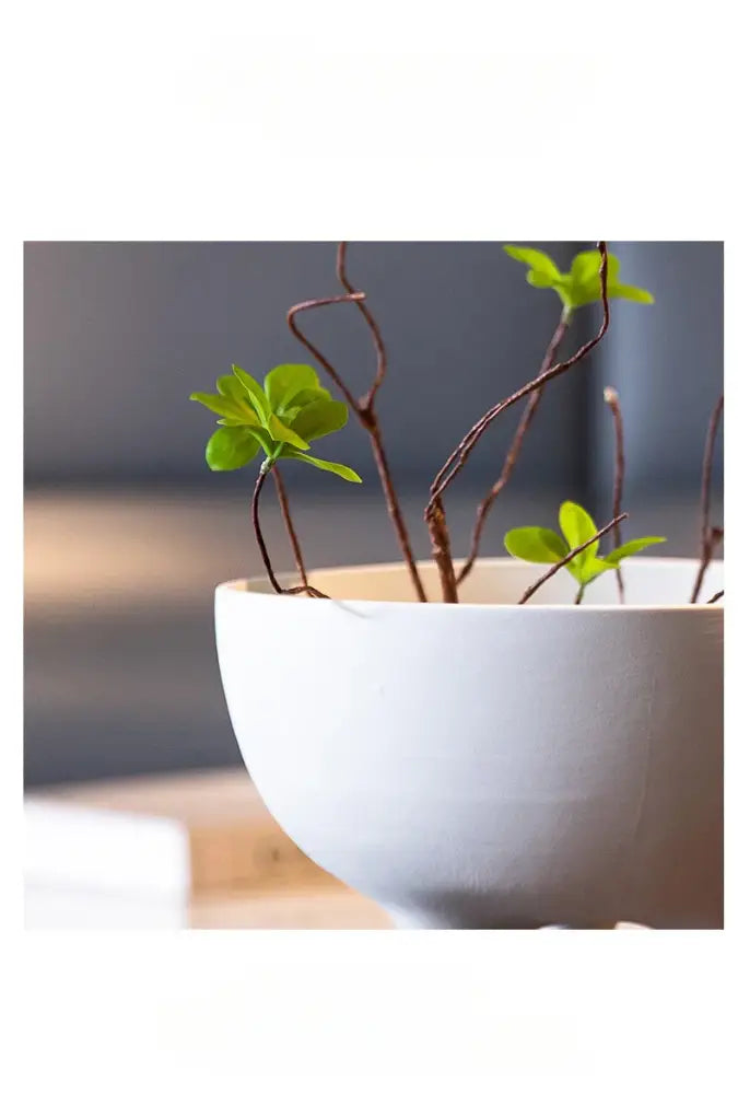 Decorbites™ ceramic flower pot in white holding delicate green leafy plants with slender brown stems on tripod stand