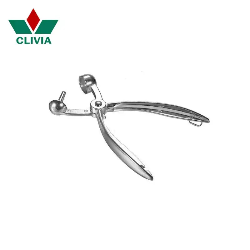 Silver-toned decorbites cherry pitter with polished metal handles and adjustable spherical pressing mechanism for seed separation
