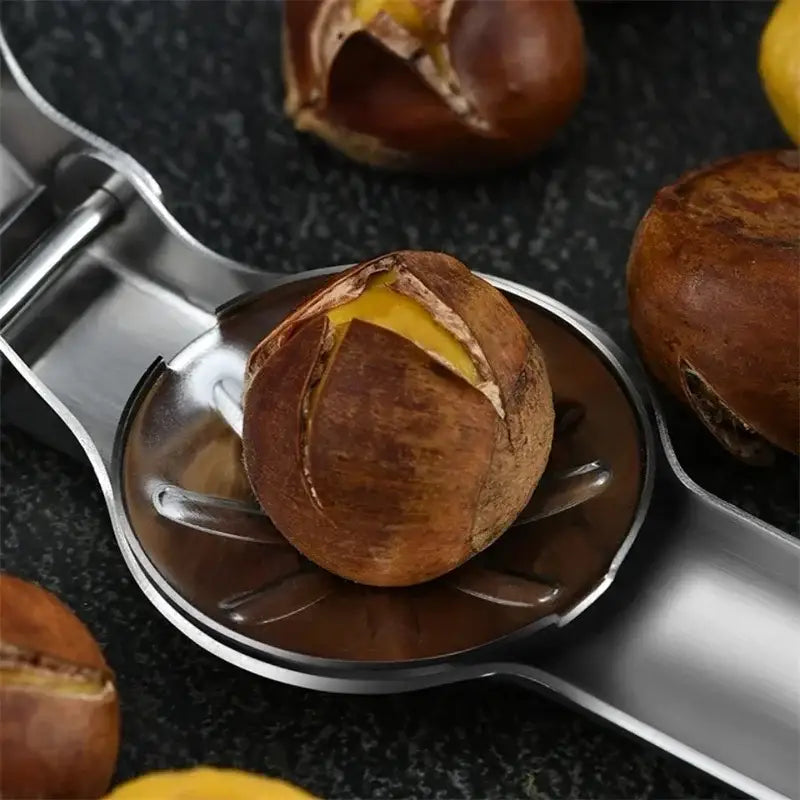 A shiny stainless steel decorbites chestnut opener holding a cracked brown chestnut with golden interior exposed