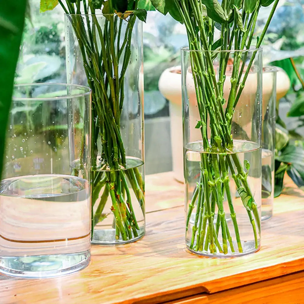 Decorbites™ clear acrylic cylinder vase holding green stems in water ideal for weddings and elegant decor