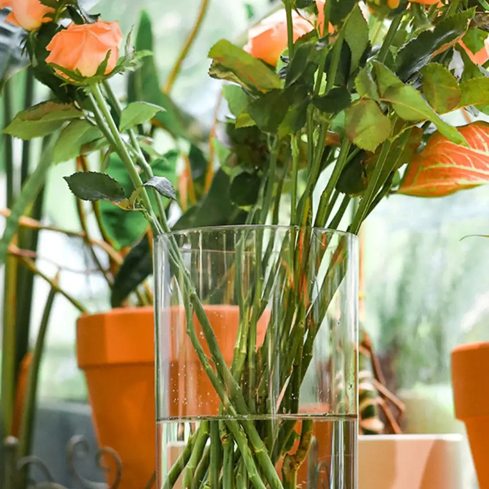 Decorbites clear acrylic cylinder vase holding orange roses with green stems and leaves for weddings