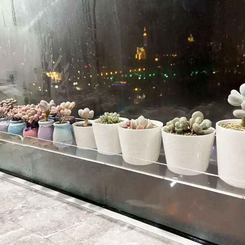 Decorbites™ clear acrylic wall mounted shelf organizer with white ceramic pots holding various succulent plants