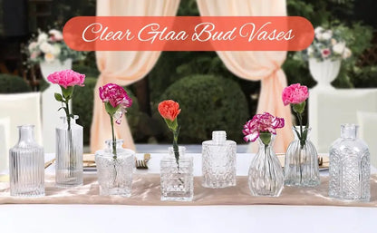 Clear Glass Bud Vase Bulk Set - United States - Vase