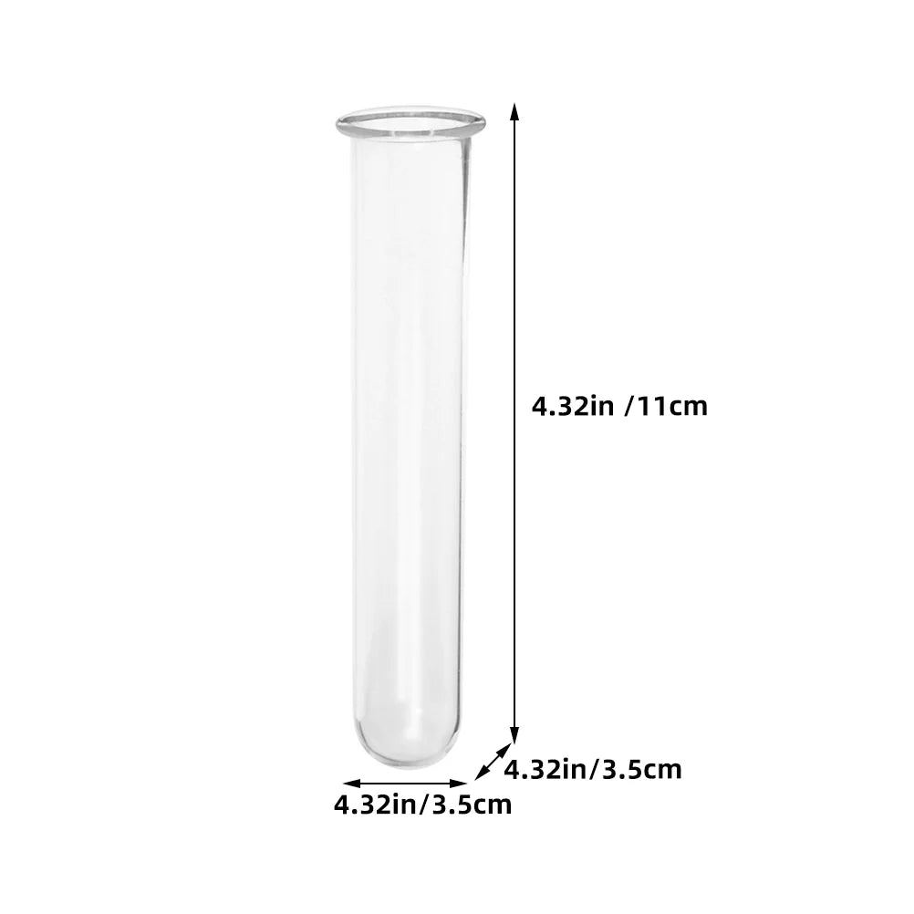 Clear Glass Test Tube Vases for Plants - As Shown - Vase