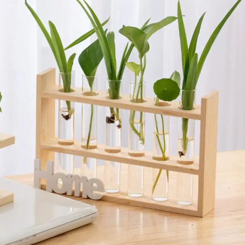 Clear Glass Test Tube Vases for Plants - As Shown - Vase