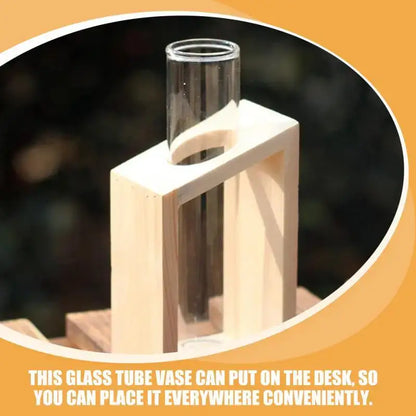 Decorbites™ clear glass test tube vases featuring a clear glass test tube in a light wooden stand for tube vases and plants