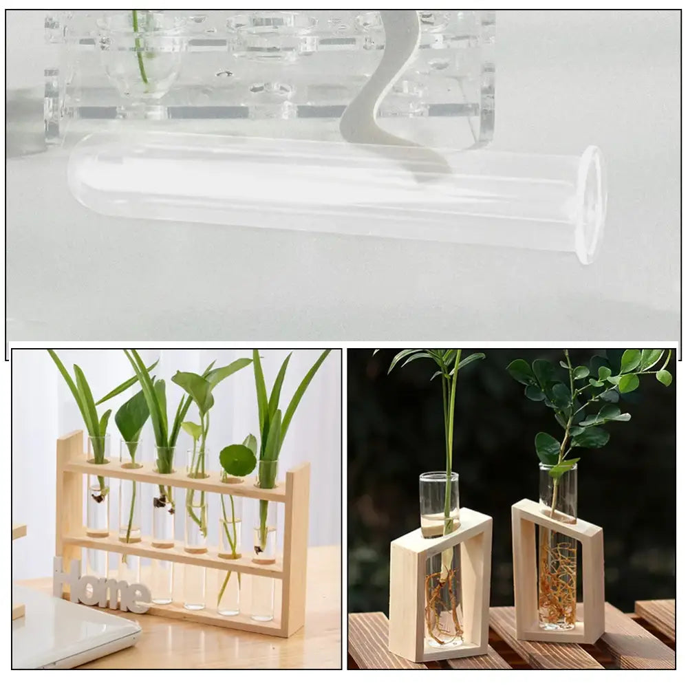Decorbites™ clear glass test tube vases with wooden stands holding small green plants in water for elegant tube vases display