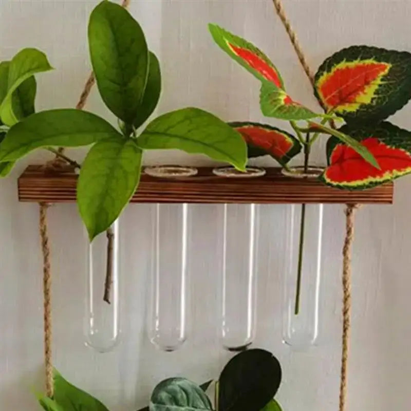 Wooden shelf with four clear glass test tube vases hanging, each holding a plant for decorative use