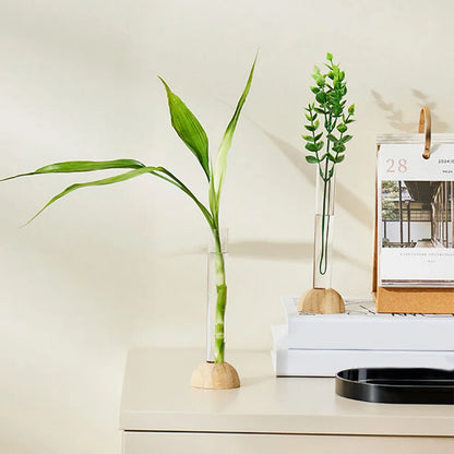 Clear Nordic Plastic Vase for Hydroponic Flowers - B-2Pcs 5x15.5cm - Vase