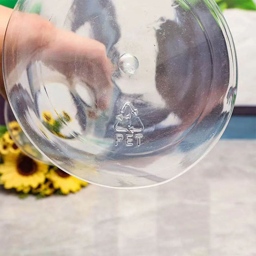 DecorBites™ Clear Nordic Plastic Vase for Hydroponic Flowers