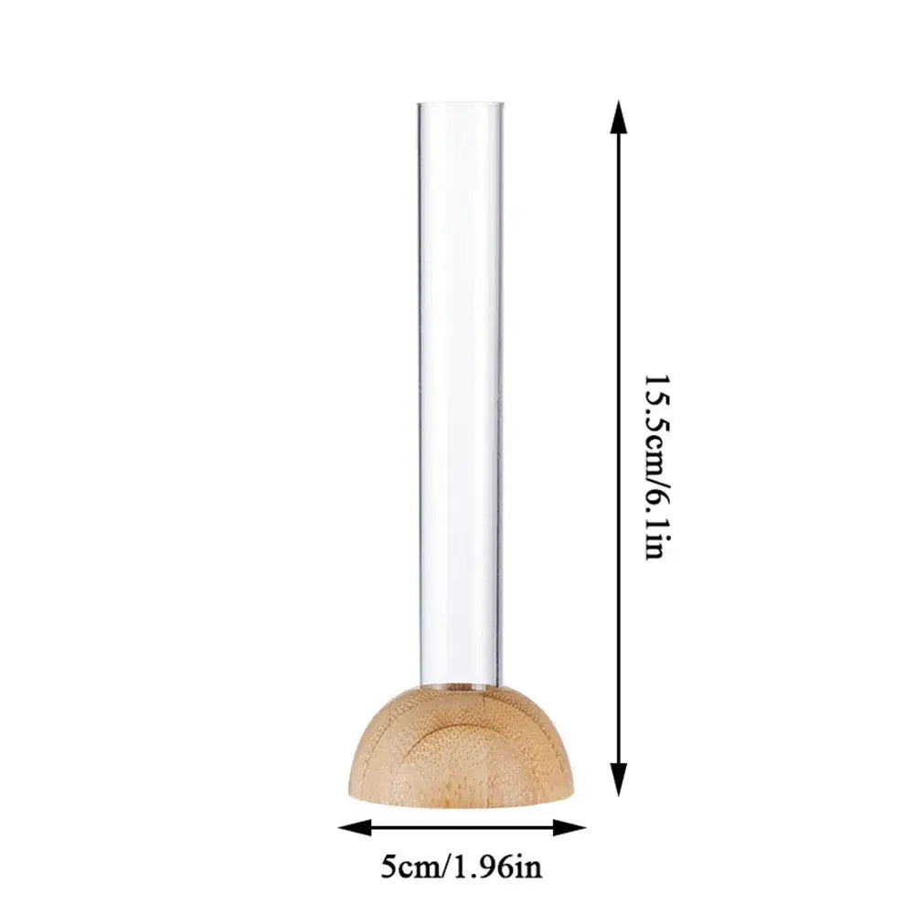 Clear nordic plastic vase with a clear glass body and bamboo base for hydroponic flowers by DecorBites™