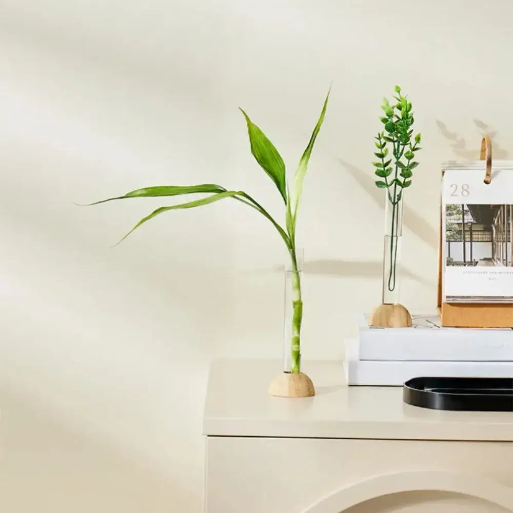 Decorbites™ clear vase with bamboo base featuring a slender green bamboo plant in a hydroponic clear vase