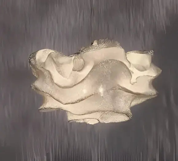 A beige textured clamshell cream pendant light with an irregular surface for decorbites cloud chandelier bedroom use