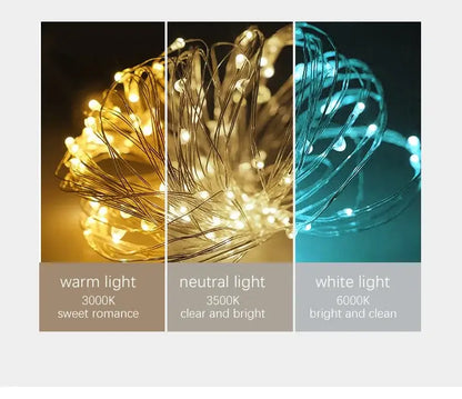 Decorbites™ contemporary led glass ceiling chandelier with warm neutral and white string light bulbs in three color temperatures
