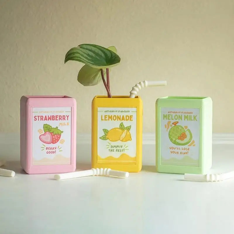 Cute Kawai Flower Pot for Succulents & Cacti - Vase