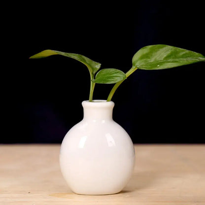 Decorbites™ cute mini ceramic flower vase pot is a small glossy white ceramic flower vase holding two green leaves