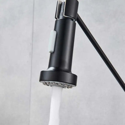Black matte finish decorbites dual function kitchen sprayer head with gray nozzle for pull-down faucet replacement