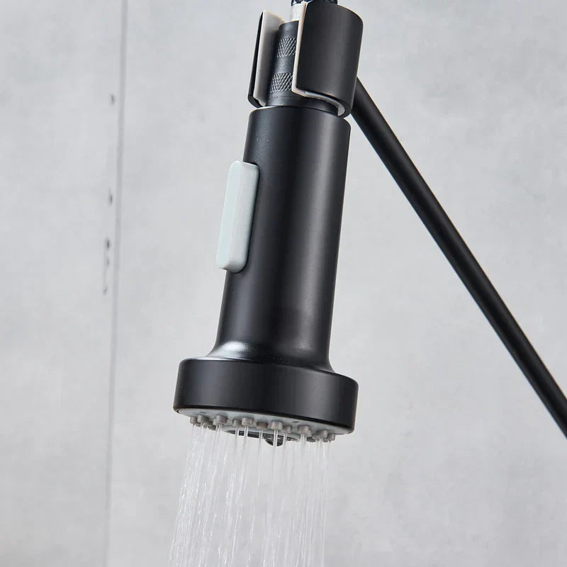 Black matte decorbites dual function kitchen sprayer head with pull-down faucet and white rectangular button on handle