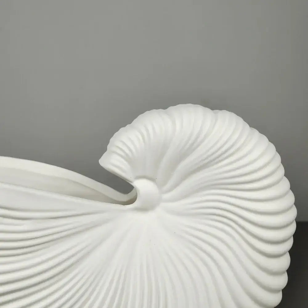 Decorbites elegant ceramic vase featuring a smooth white shell conch design with spiral ridges for stylish decor