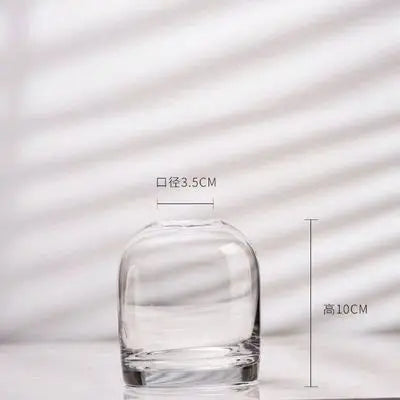 Elegant European INS Glass Flower Vase - transparent 100 - Vase