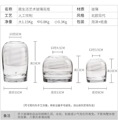 Decorbites™ elegant european ins clear hand-blown glass flower vase with rounded body and sturdy base in three sizes