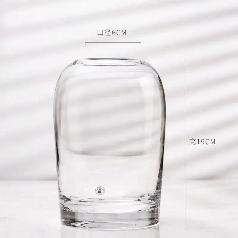 Decorbites™ elegant european ins glass flower vase with clear rounded bulbous body and flat base for floral display