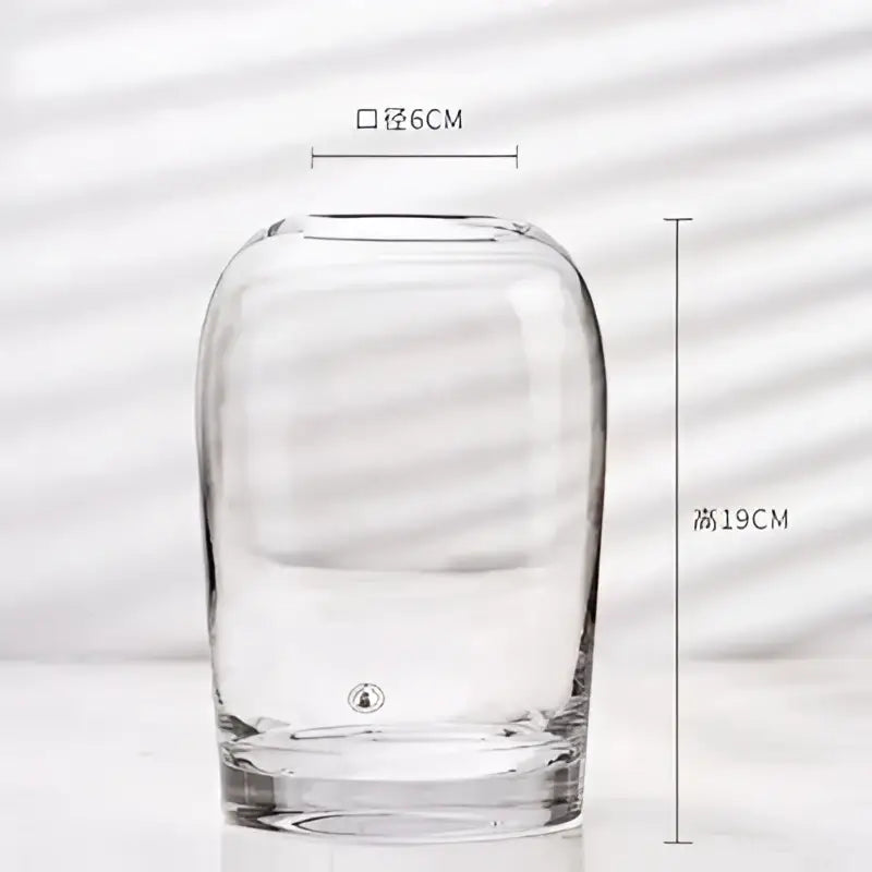 DecorBites™ elegant European INS glass flower vase clear glass with rounded tapered shape and smooth base