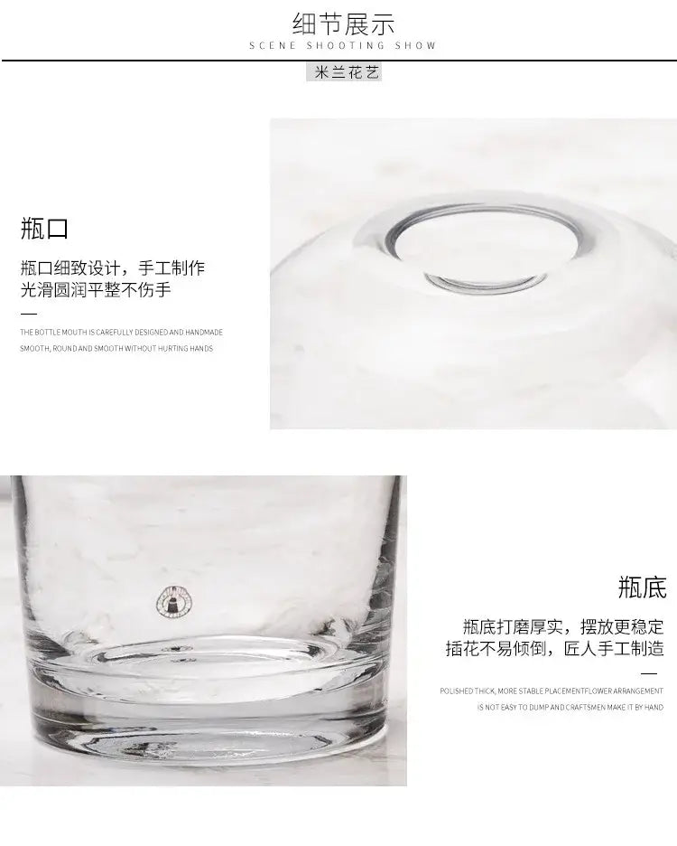 Decorbites™ elegant european clear glass flower vase with smooth rounded mouth and thick polished base