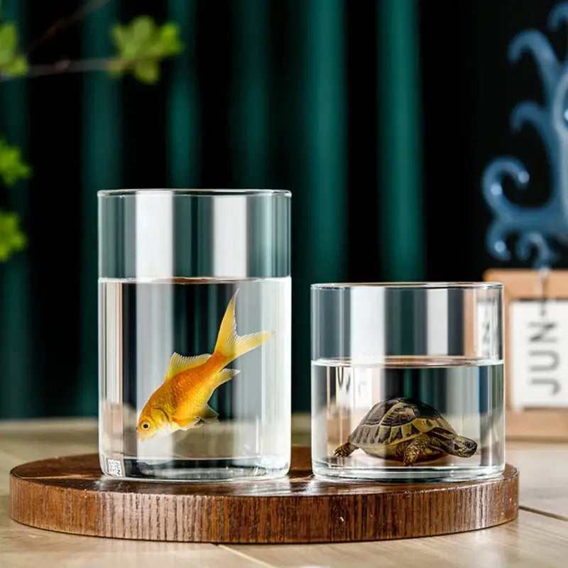DecorBites™ elegant glass cylinder vase featuring clear glass cylinders holding a golden fish and a small tortoise