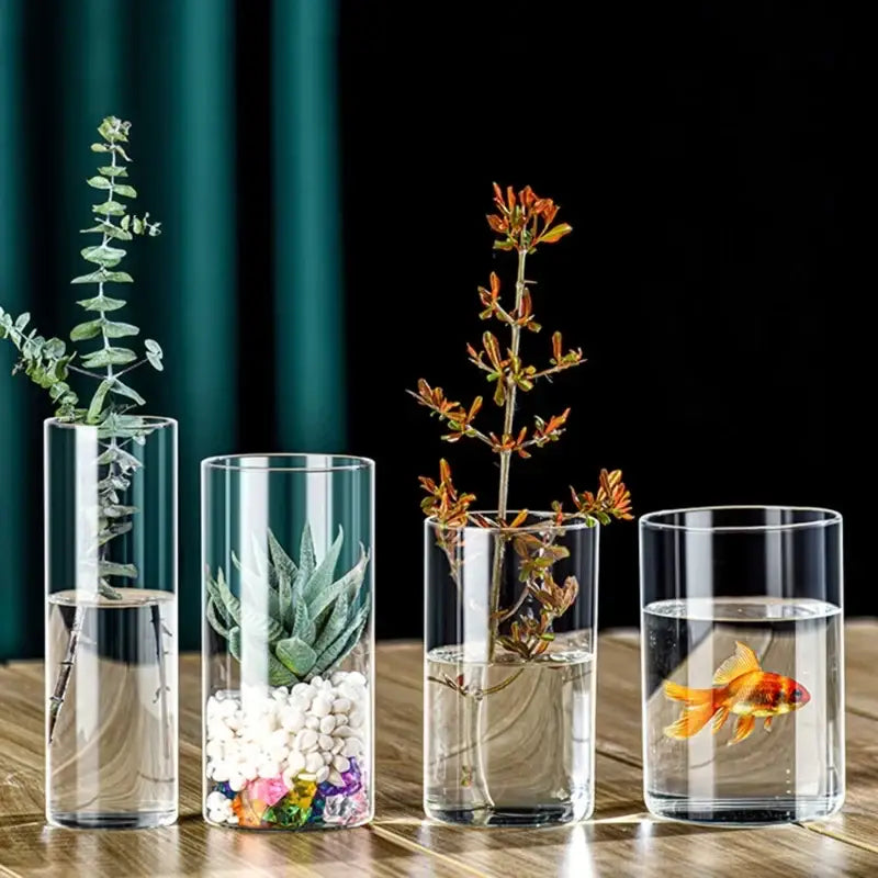 Decorbites™ elegant clear glass cylinder vase set with varying heights holding plants and a goldfish in water