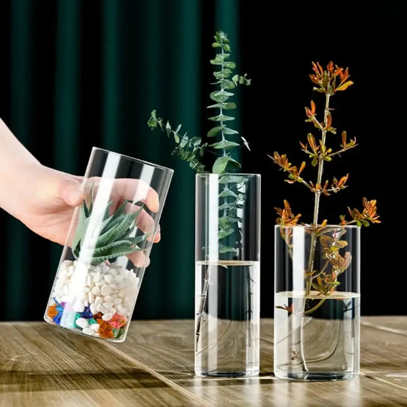 Decorbites™ elegant glass cylinder vase holding a green succulent with white pebbles and colorful stones at the bottom