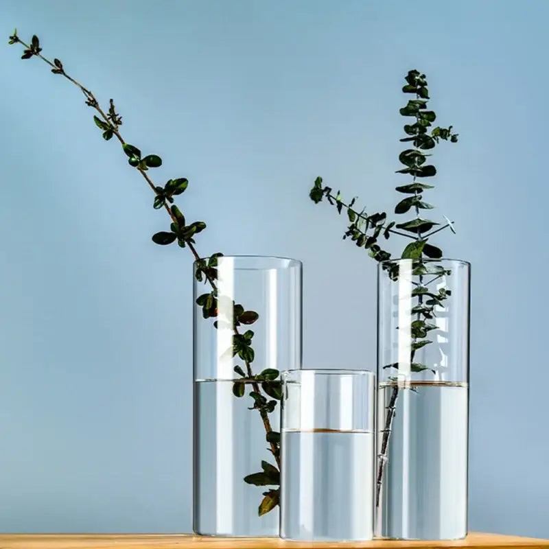 Three clear glass cylinder vases of varying heights from decorbites™ holding green plant stems in water