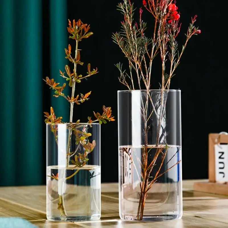 Two clear glass cylinder vases of different heights holding water and dried reddish-brown plant stems